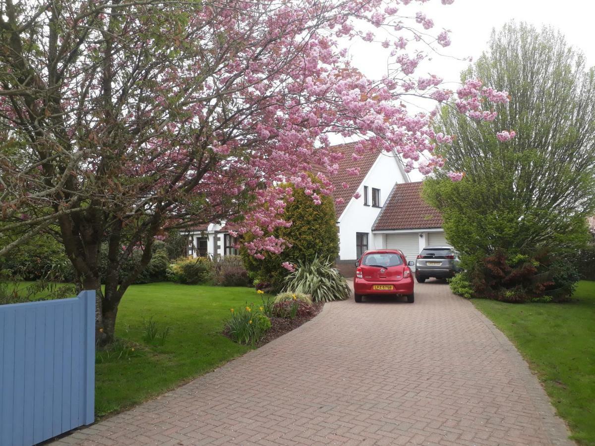 Castlerock Road Bed And Breakfast Coleraine Exterior foto